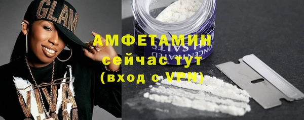 индика Зуевка