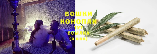 крисы Нефтекумск