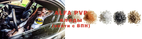 прущая мука Дмитриев