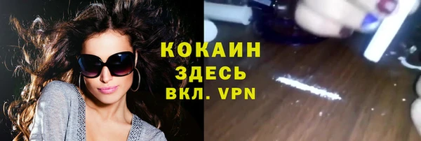 сатива Ивангород