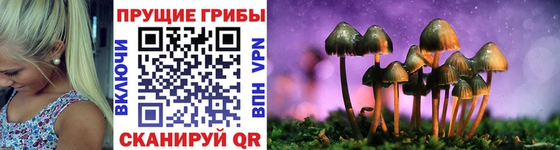 Галлюциногенные грибы ЛСД  Колпашево 