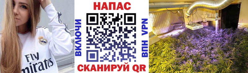 Бошки Шишки THC 21%  Колпашево 
